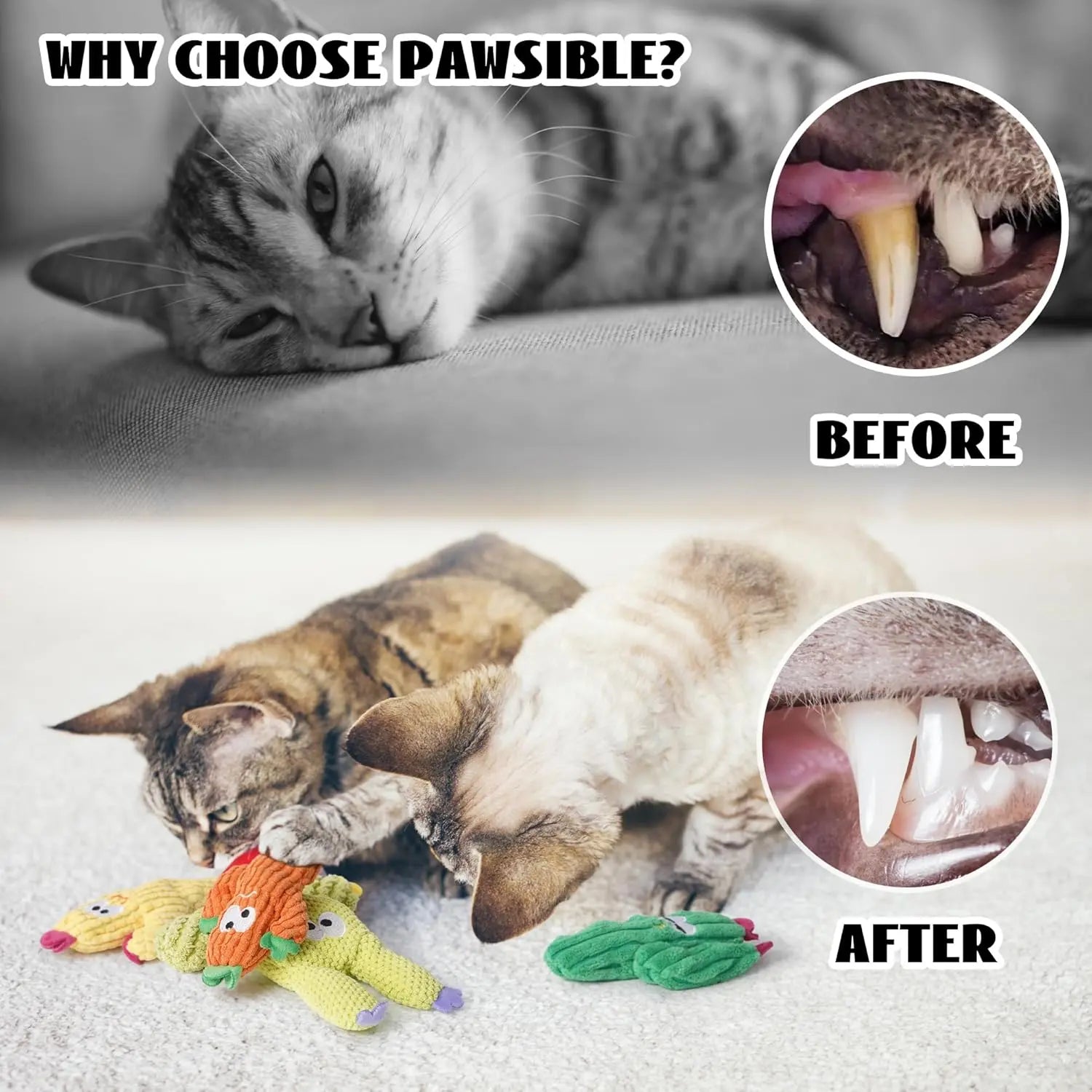 Pawsible 5 Pack Cactus Cat Toy Set, 100% Premium Cat Herb Filling, Natural Stimulation for Cats, Durable for Teething, Perfect Kitten Toy